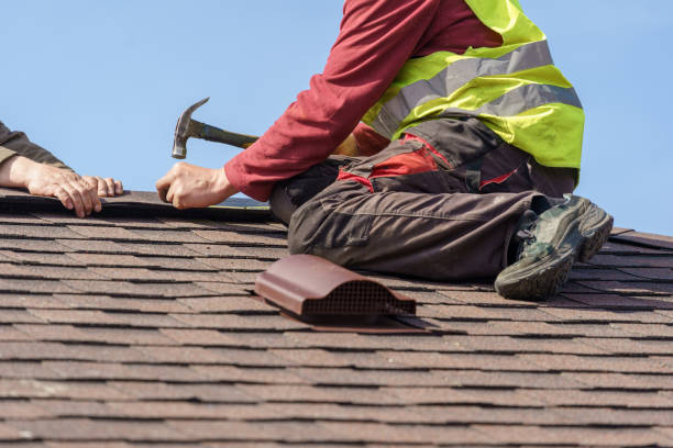 Best Roof Waterproofing Services  in Rapid City, MI