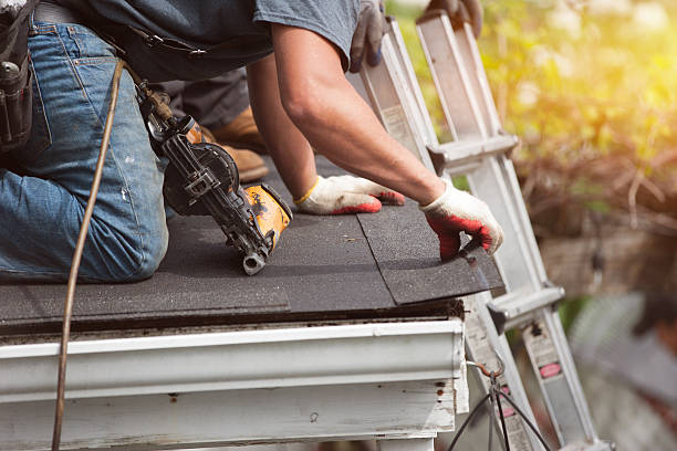 Best Roof Replacement Cost  in Rapid City, MI